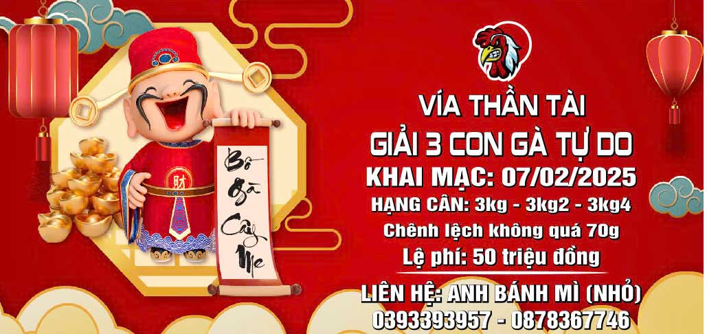 Giải 3 con gà tự do vía thần tài