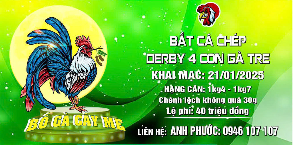 Giải bắt cá chép Derby 4 con gà tre