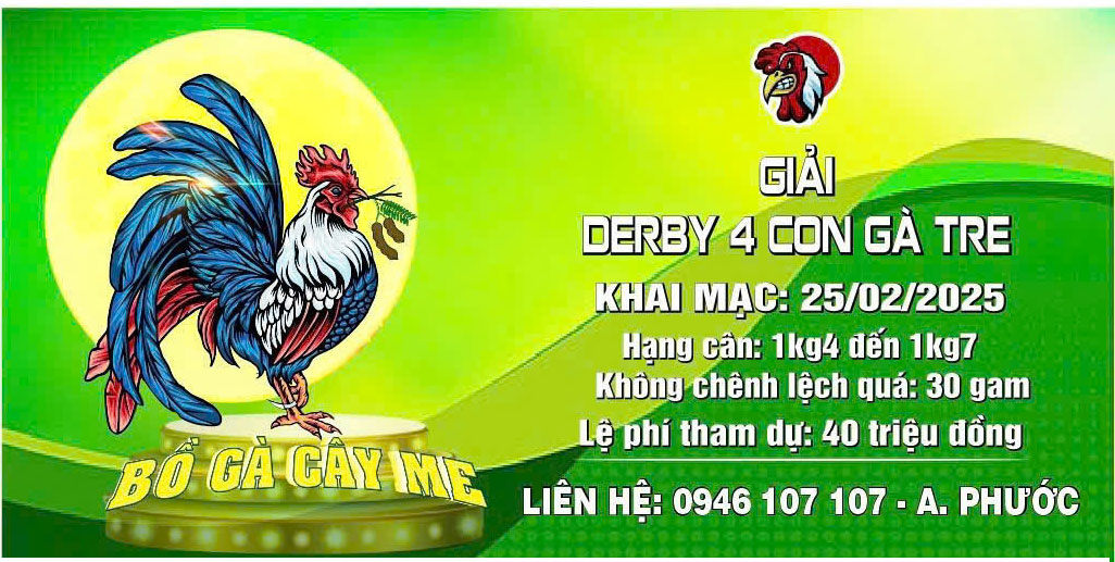 Giải DERBY 4 con gà tre